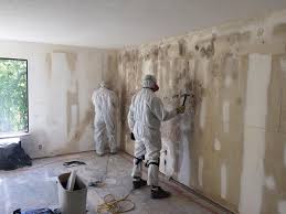 Best Basement Mold Removal  in Mount Zion, GA